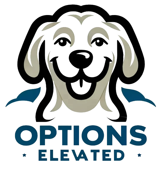 Options Elevated logo